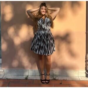 Banana Republic Women’s‎ Cici Poplin Flare Formal Mini Dress NWT Sz 10